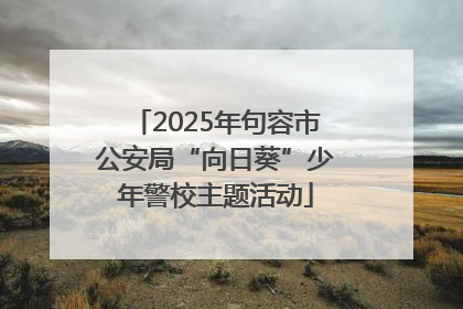 2025年句容市公安局“向日葵”少年警校主题活动