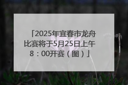 2025年宜春市龙舟比赛将于5月25日上午8：00开赛（图）