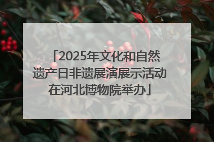 2025年文化和自然遗产日非遗展演展示活动在河北博物院举办