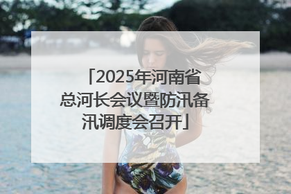 2025年河南省总河长会议暨防汛备汛调度会召开