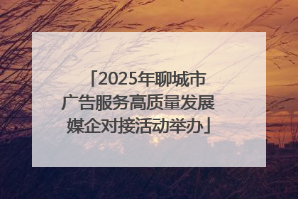 2025年聊城市广告服务高质量发展媒企对接活动举办