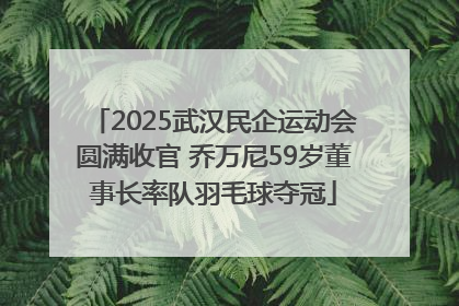 2025武汉民企运动会圆满收官 乔万尼59岁董事长率队羽毛球夺冠