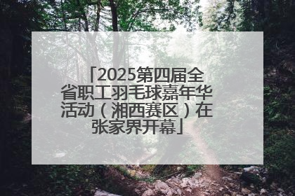 2025第四届全省职工羽毛球嘉年华活动（湘西赛区）在张家界开幕