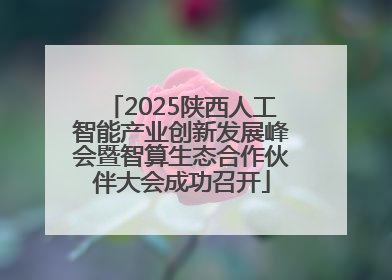 2025陕西人工智能产业创新发展峰会暨智算生态合作伙伴大会成功召开