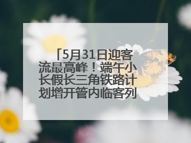 5月31日迎客流最高峰！端午小长假长三角铁路计划增开管内临客列车139对