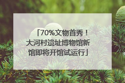 70%文物首秀！大河村遗址博物馆新馆即将开馆试运行