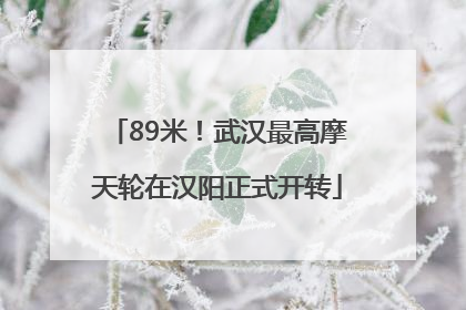 89米！武汉最高摩天轮在汉阳正式开转