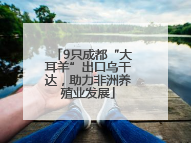 9只成都“大耳羊”出口乌干达，助力非洲养殖业发展