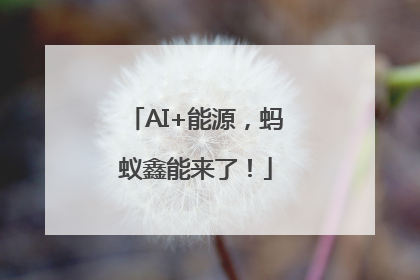 AI+能源，蚂蚁鑫能来了！