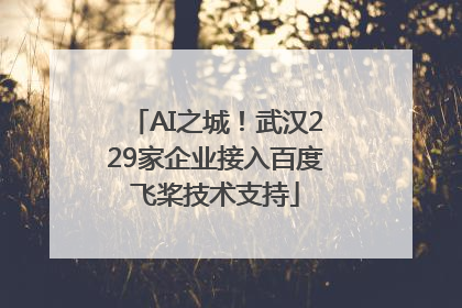 AI之城！武汉229家企业接入百度飞桨技术支持