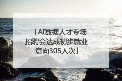 AI数据人才专场招聘会达成初步就业意向305人次