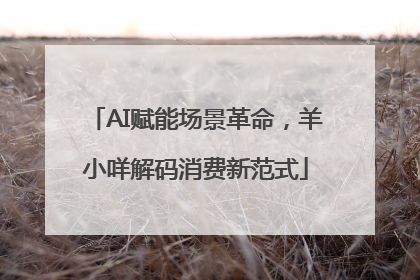 AI赋能场景革命，羊小咩解码消费新范式
