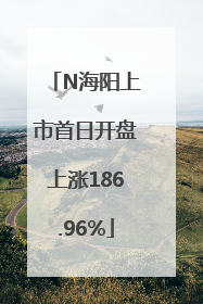 N海阳上市首日开盘上涨186.96%